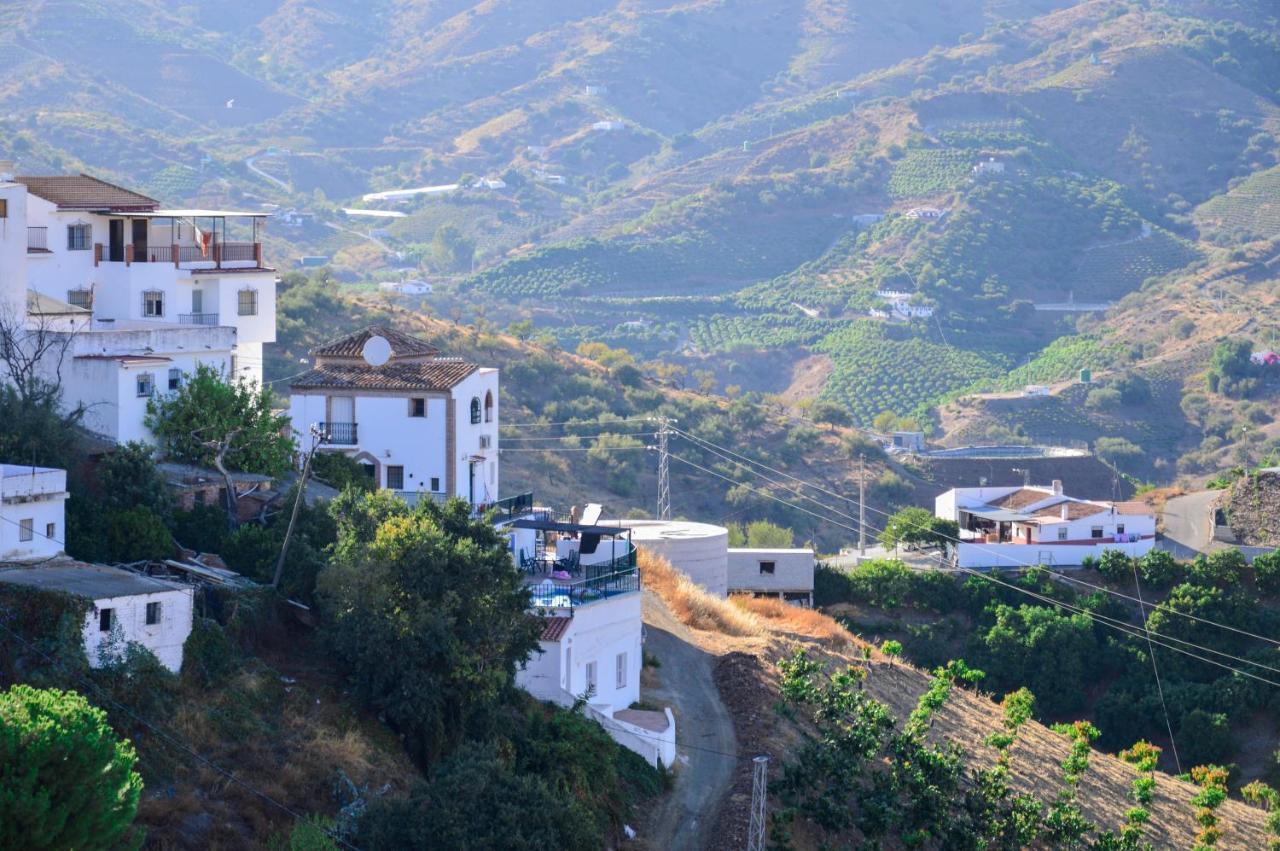 Villa Portillo Iznate エクステリア 写真